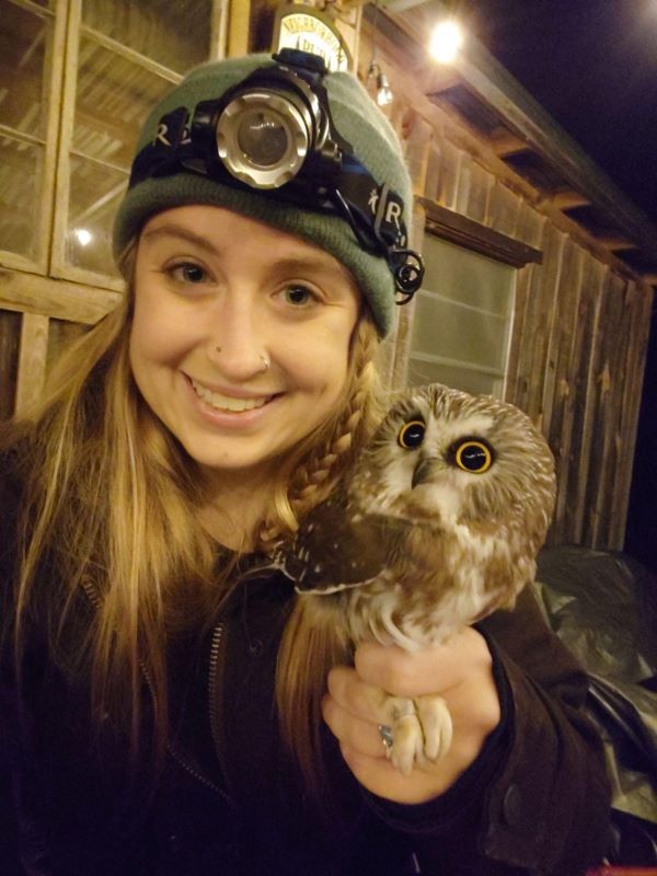 Laura Courses with a Northern Saw-whet Owl.