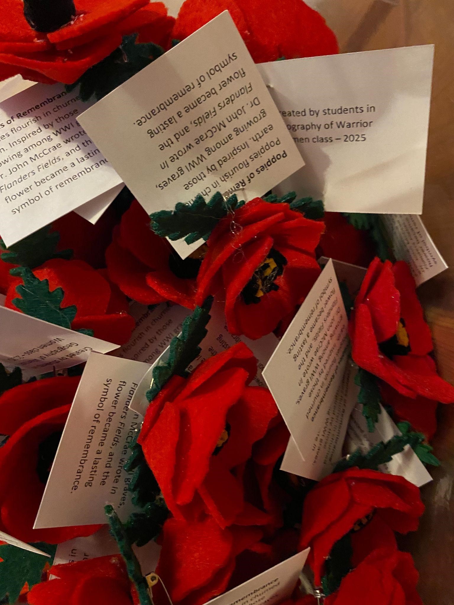 Remembrance poppies