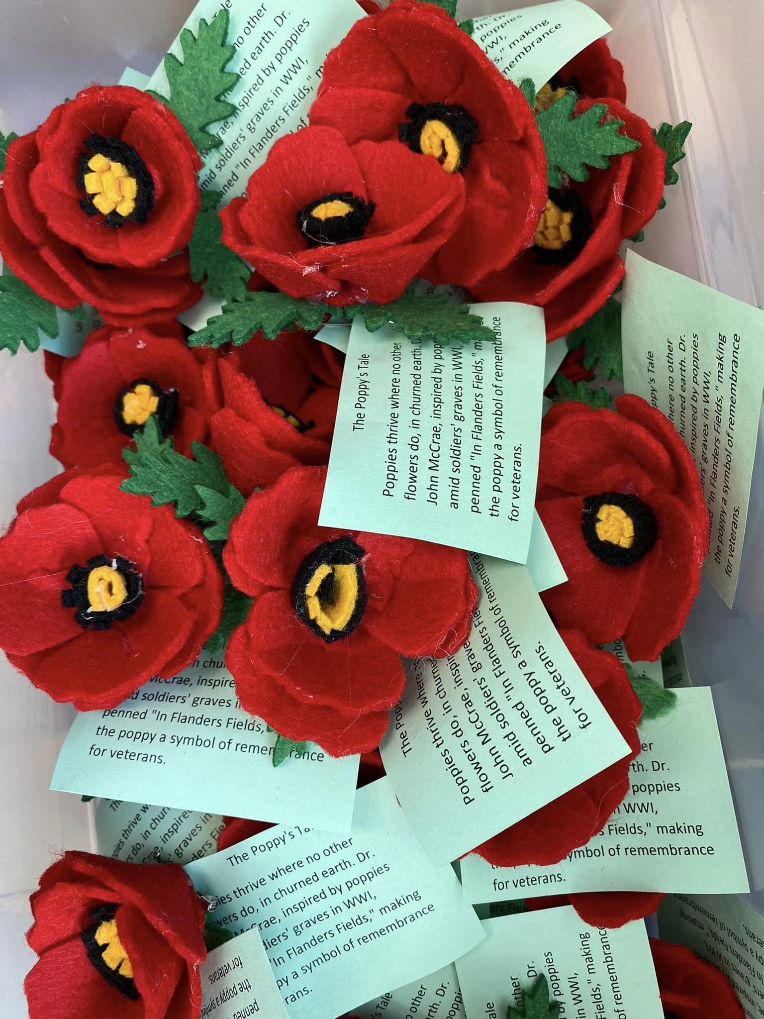 Poppies created by class
