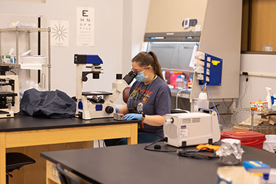 Student looking into microsope in lab
